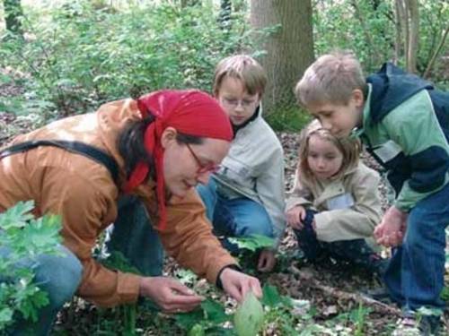 Drei Kinder und eine Erzieherin untersuchen den Waldboden auf Pflanzen und Insekten
