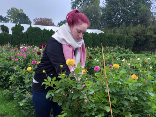 Eine Frau zwischen Pflanzen. 