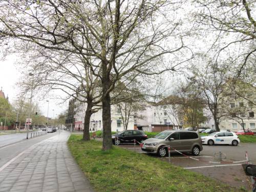 Drei parkende Autos auf einem Parkplatz unter Bäumen