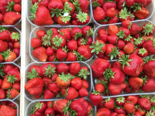 Erdbeeren.