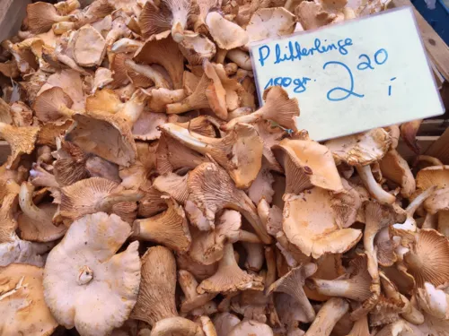 Pfifferlinge.