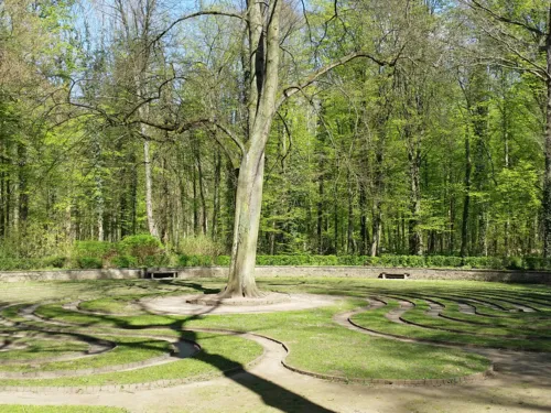 Rasenlabyrinth mit Baum in der Mitte.