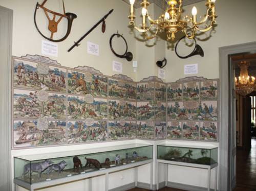 In einem der Räume des alten Jagdschlosses sind Vitrinen mit Hundemodellen sowie alte Schautafeln zu sehen.