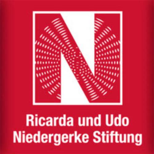 Logo mit einem großen N und der Schrift Ricarda und Udo Niedergerke Stiftung