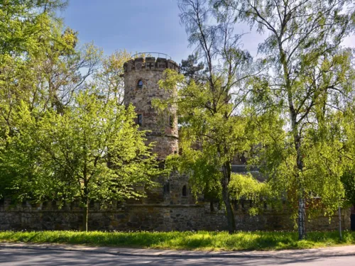Burgähnliches Gebäude hinter Bäumen