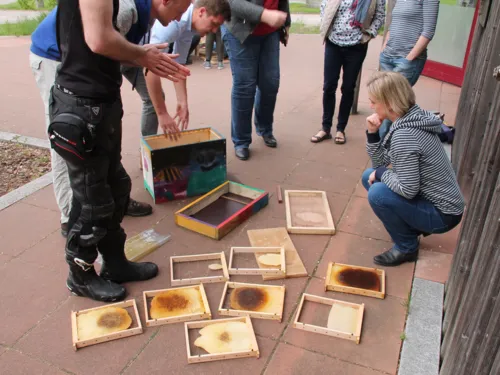 Menschen, die die Einzelteile eines Bienenstocks auseinander nehmen