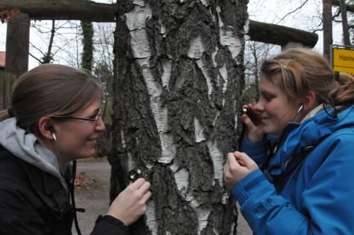 Zwei Mädchen untersuchen einen Baum