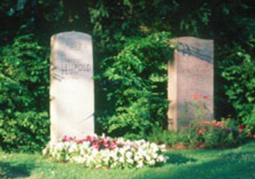 Gräber auf dem Seelhorster Friedhof