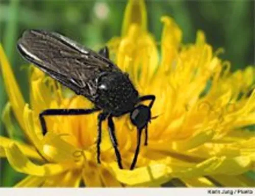 Umwelt und Natur