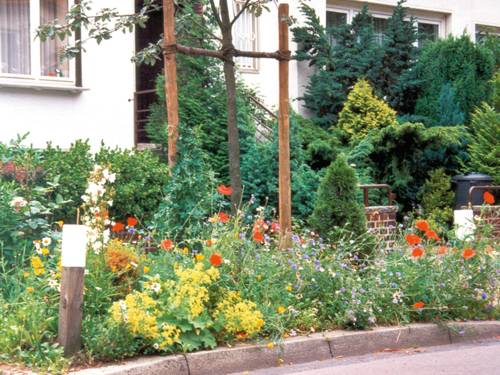 Ein mit Blumen und Bäumen bestückter Vorgarten