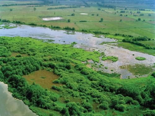 Blick aus der Luft auf den Meerbruch.