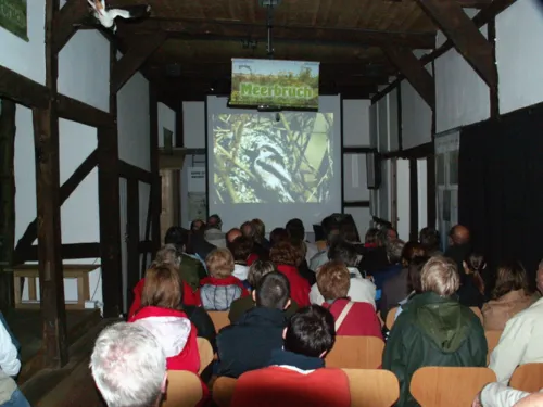 Menschen sitzen auf St&uuml;hlen und schauen einen Tierfilm auf einer gro&szlig;en Leinwand.