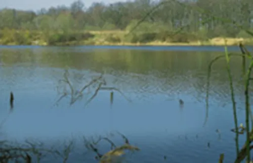 mit Wasser gefüllte Tonkuhle