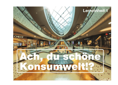 Lerneinheit 1