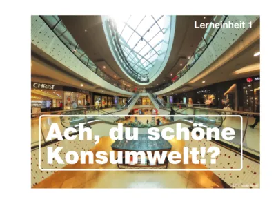 Lerneinheit 1