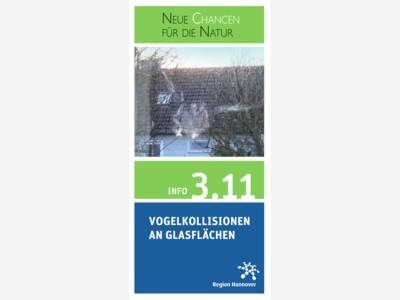 Titelbild eines Flyers