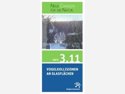 Titelbild eines Flyers