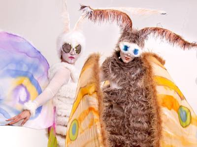 Tag- und Nachtfalter