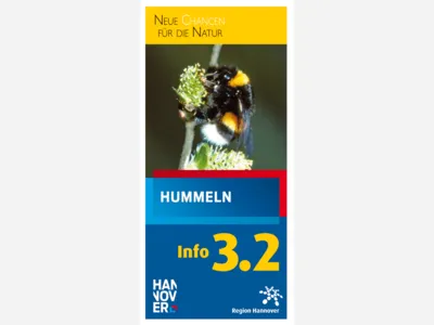 Titelbild