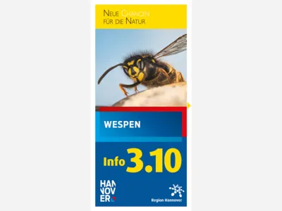 Titelbild