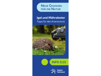 Igel und Mähroboter