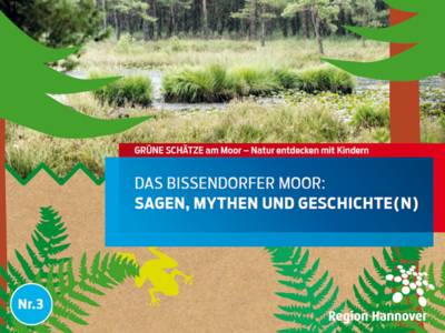Das Coverbild eines Rätselheftes über Moore für Kinder