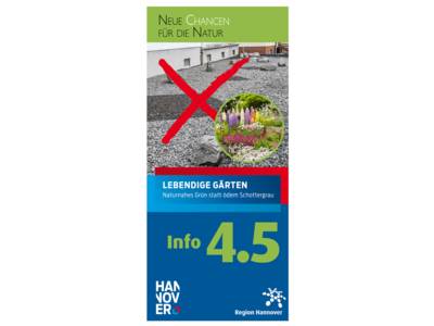 Flyertitelbild