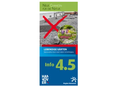 Flyertitelbild