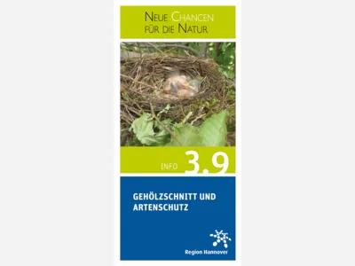 Titelbild