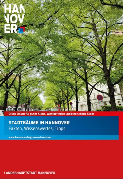 Titelbild einer Broschüre.