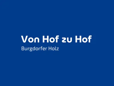 Ausschnitt eines Flyerdeckblattes mit blauem Hintergrund und Schriftzug