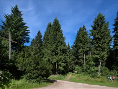 Wegekreuzung in einem Nadelwald mit Holzkreuz und Bank