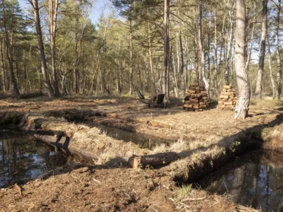 Rechteckige,mit Wasser gef&uuml;llte Becken in einer Waldlandschaft, dahinter Torfsoden