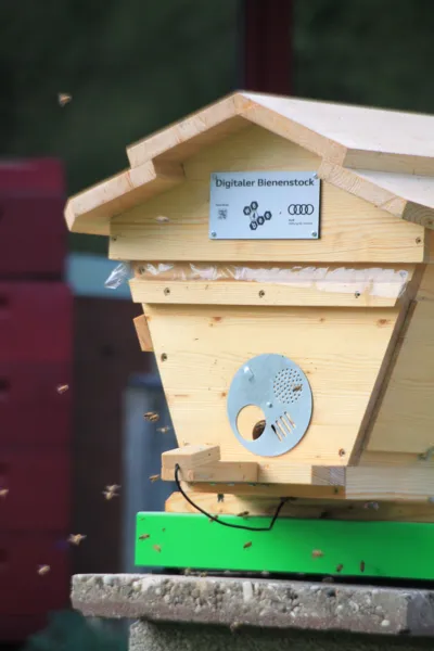 Ein Bienenstock, vor dem Messinstrumente angebracht sind. 