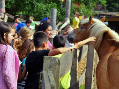 Kinder streicheln ein Pony.