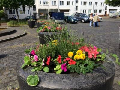Frisch bepflanzte Blumenkübel auf dem Rübezahlplatz