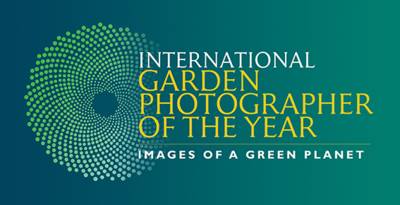 Logo Fotowettbewerb