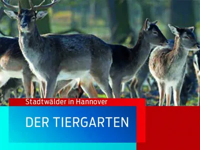 Auf dem Titelbild der Broschüre sind Rehe zu sehen.