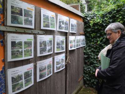 Stadträtin Sabine Tegtmeyer-Dette betrachtet Fotos von verschiedenen Gärten. 