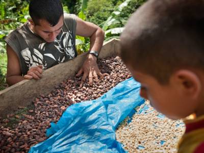 Ein Kakaobauer prüft die Qualität von Kakaobohnen; im Vordergrund rechts ein kleiner Junge