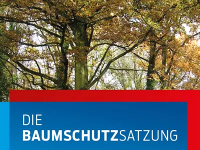 Die Krone von Laubbäumen mit der Beschriftung "Baumschutzsatzung"