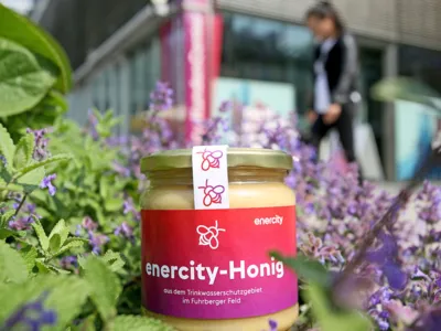 Honigglas mit der Aufschrift "enercity-Honig"