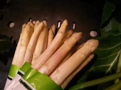 Spargel