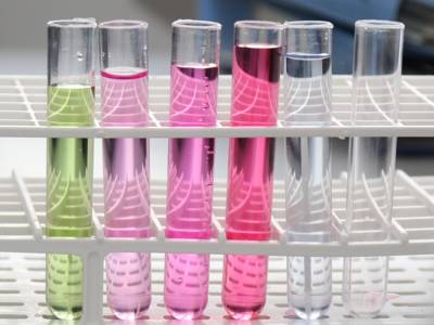 Sechs Reagenzgläser mit unterschiedlich gefärbten Flüssigkeiten im Reagenzglasständer