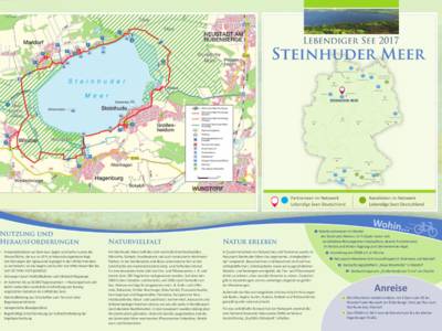 Vorschau auf das PDF