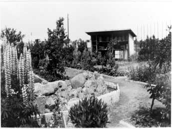 School garden and apiary, c. 1920