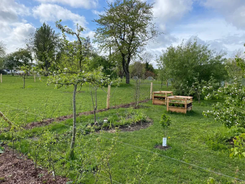 Blick in einen Garten mit jungen Geh&ouml;lzen