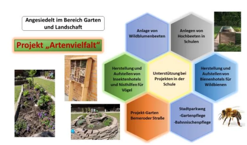 Artenvielfalt, H&ouml;lderlinstra&szlig;e