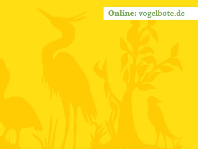 Auf dem Bild sind Umrisse von verschiedenen V&ouml;geln und B&auml;umen zu sehen. Der Hintergrund ist orange/gelb.