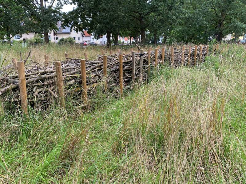 Benjeshecken entlang einer Wiese.